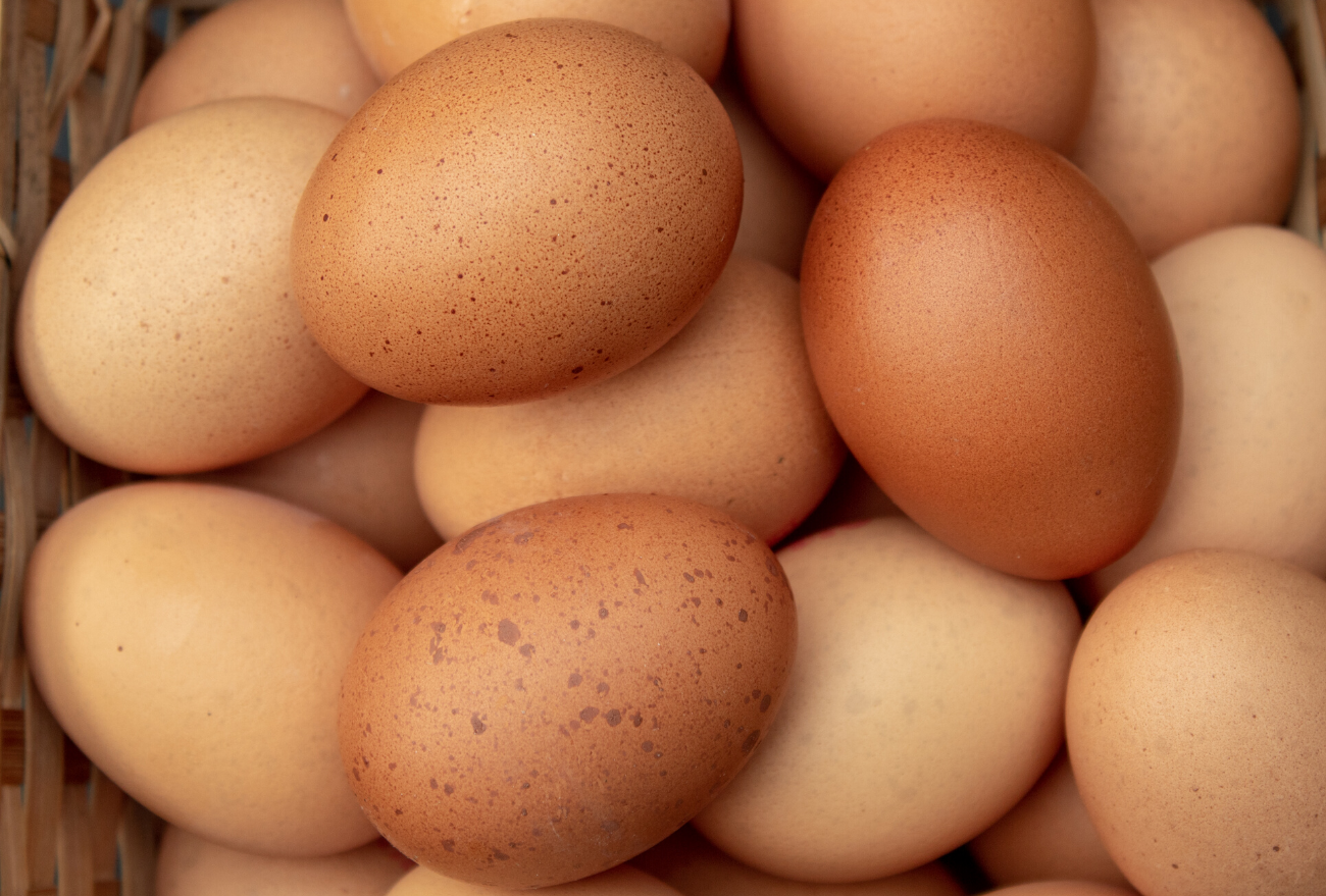 Preço do ovo dispara nos supermercados. Você sabe o motivo?
