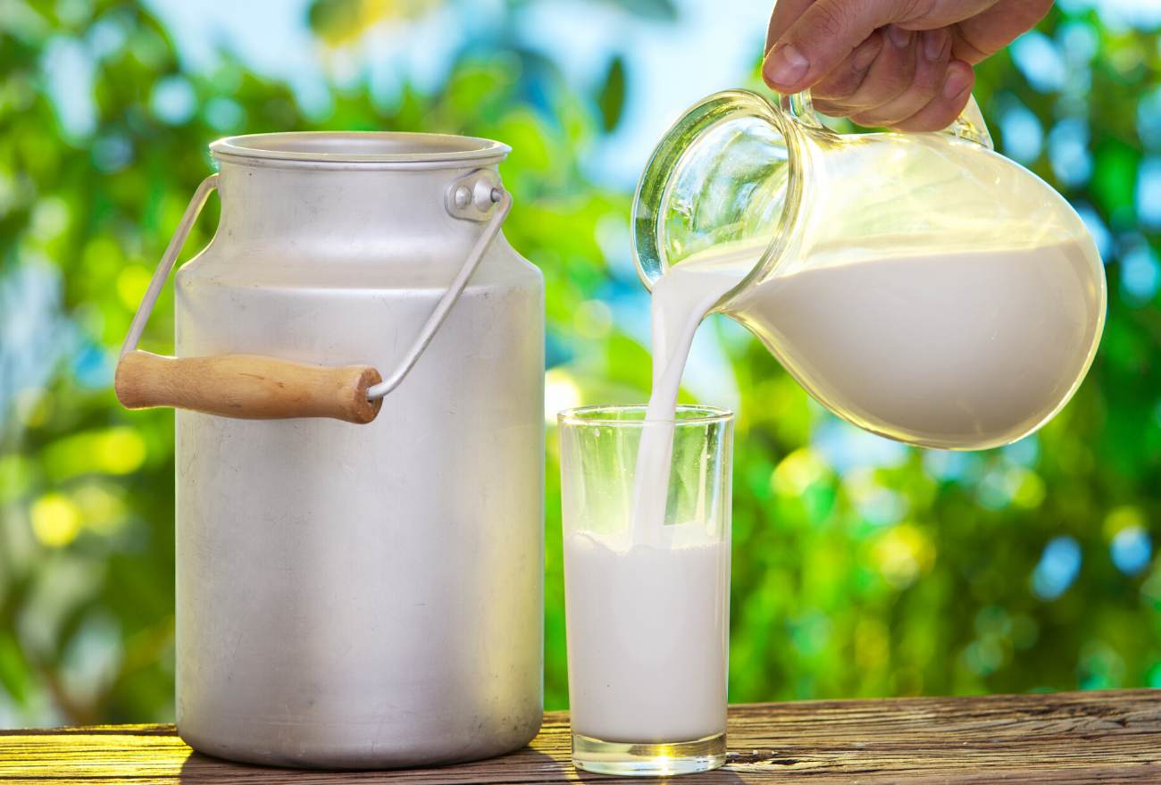 No Dia Internacional do Leite saiba se a bebida é realmente fonte nutricional e quais seus benefícios