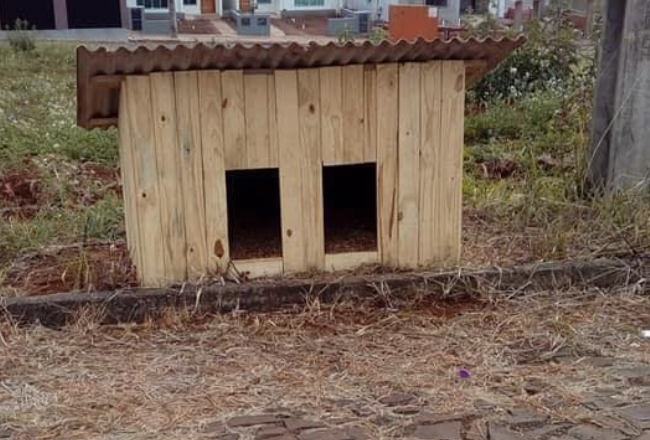 Casinhas são construídas para animais de rua, em Xaxim