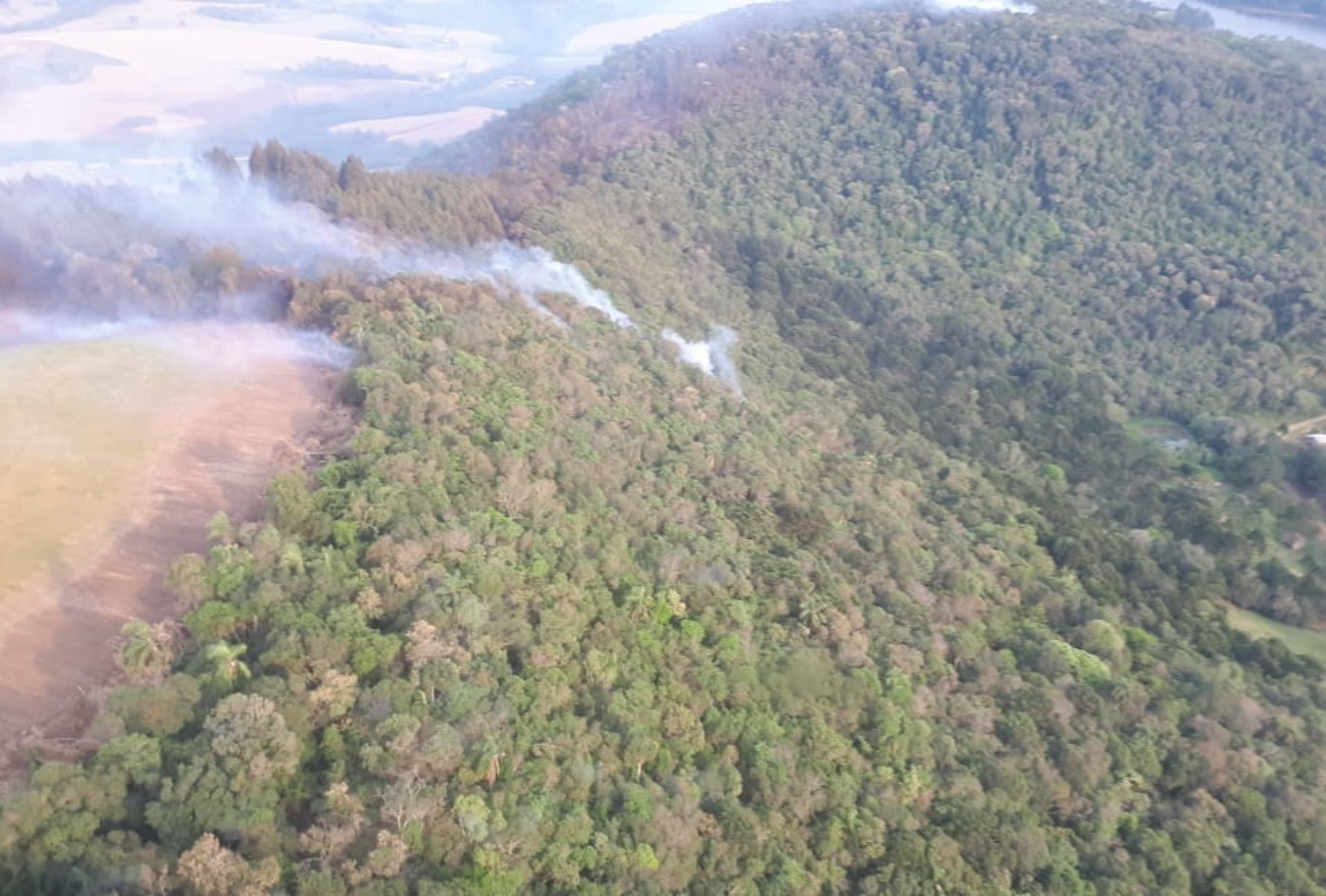 Incêndio consome mata nativa e cerca de 20 hectares de reflorestamento