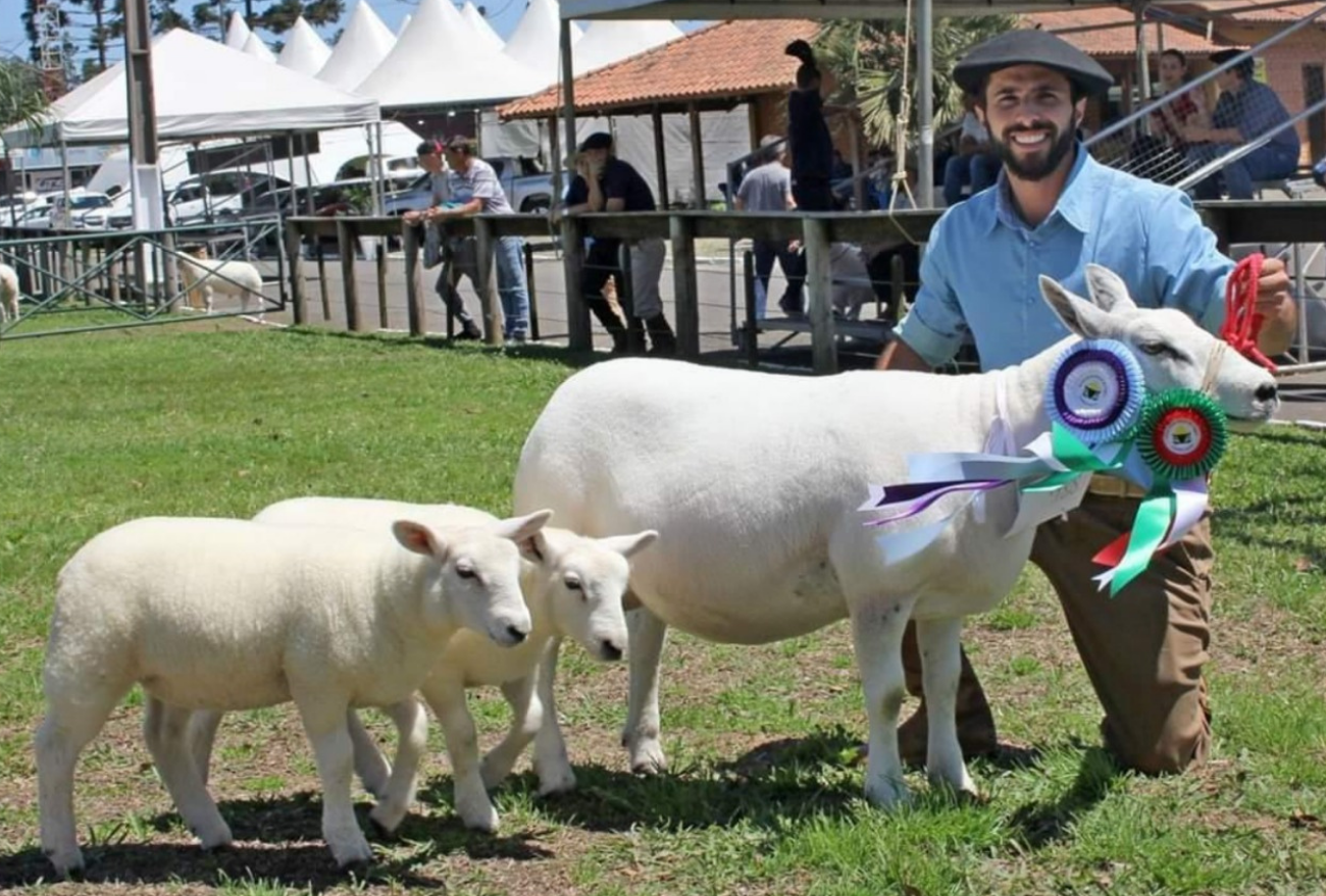 Lance no Campo: morador de Vargeão se destaca na criação de ovelhas