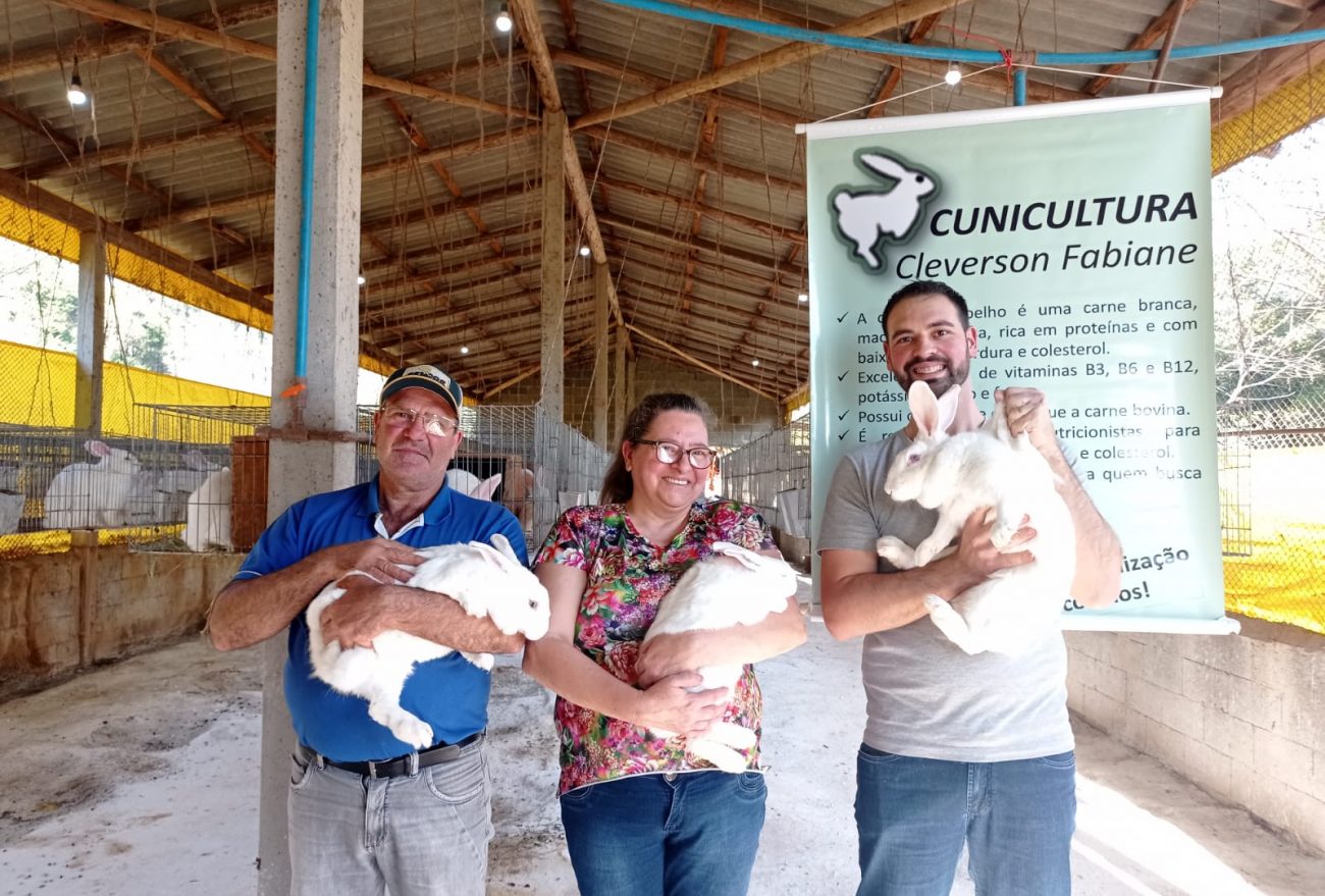 Lance no Campo: família é destaque na região com criação de coelhos