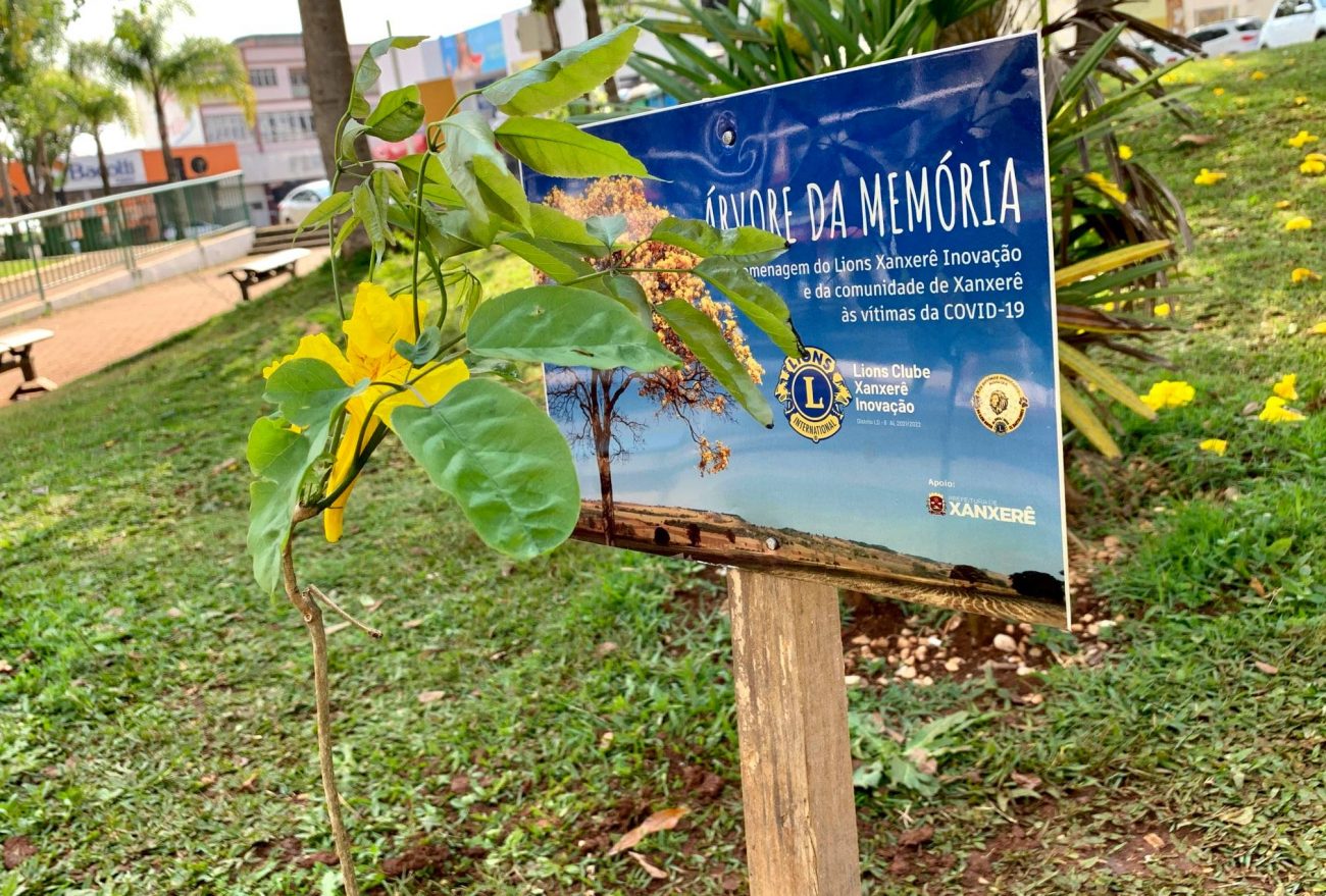 Lions Clube Xanxerê Inovação planta a “Árvore Da Memória’’ na Praça Tiradentes