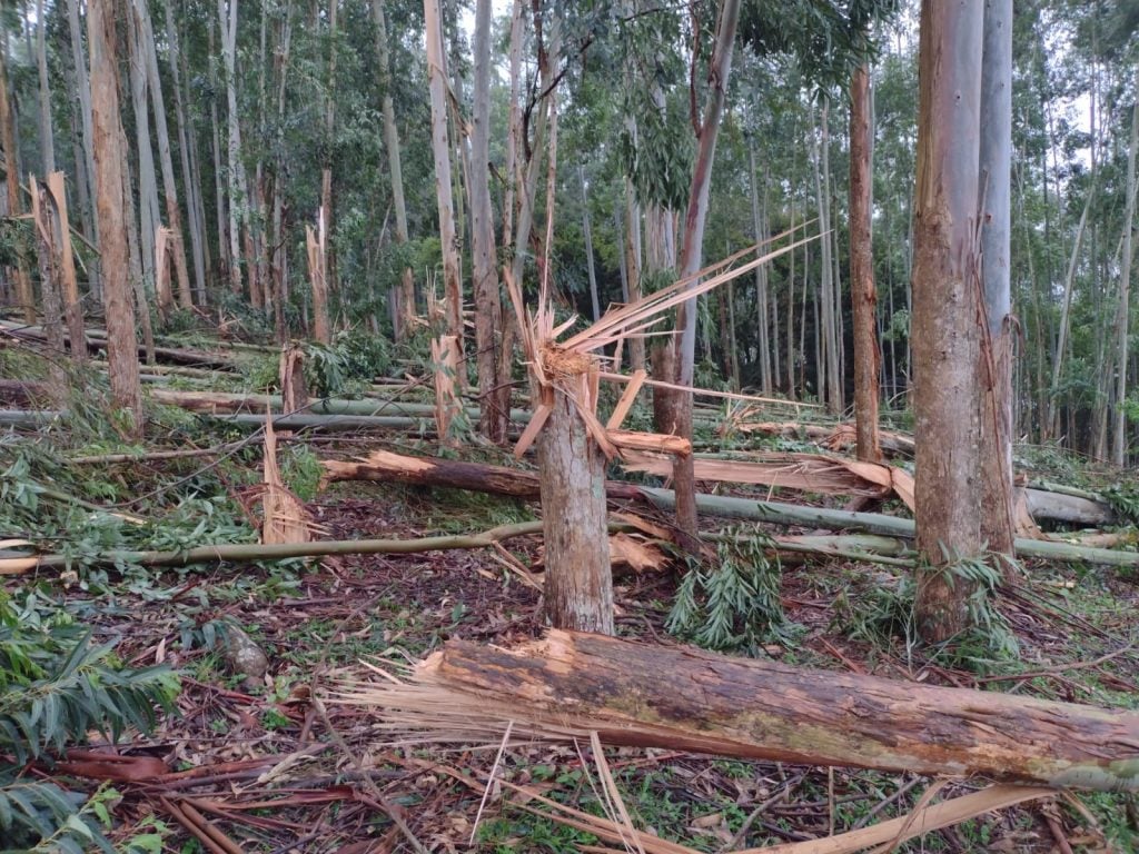 Urgente: possível tornado pode ter atingido o município de Seara