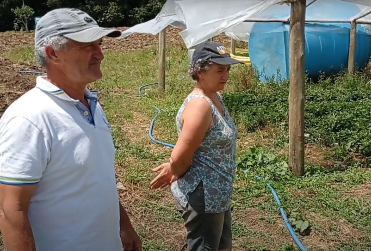 Lance no Campo: casal homenageia filha falecida com produção de morangos