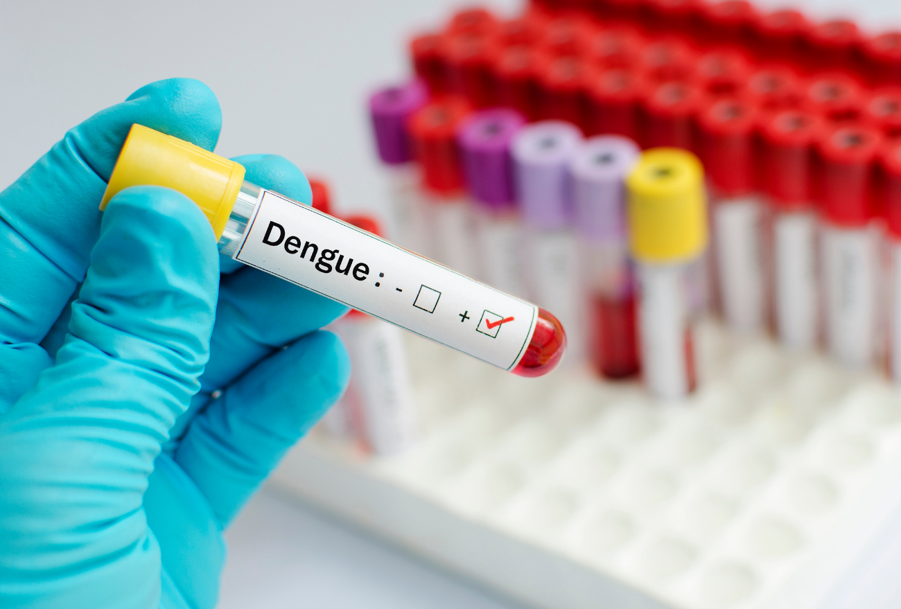 Xanxerê registra mais de 1700 casos de Dengue