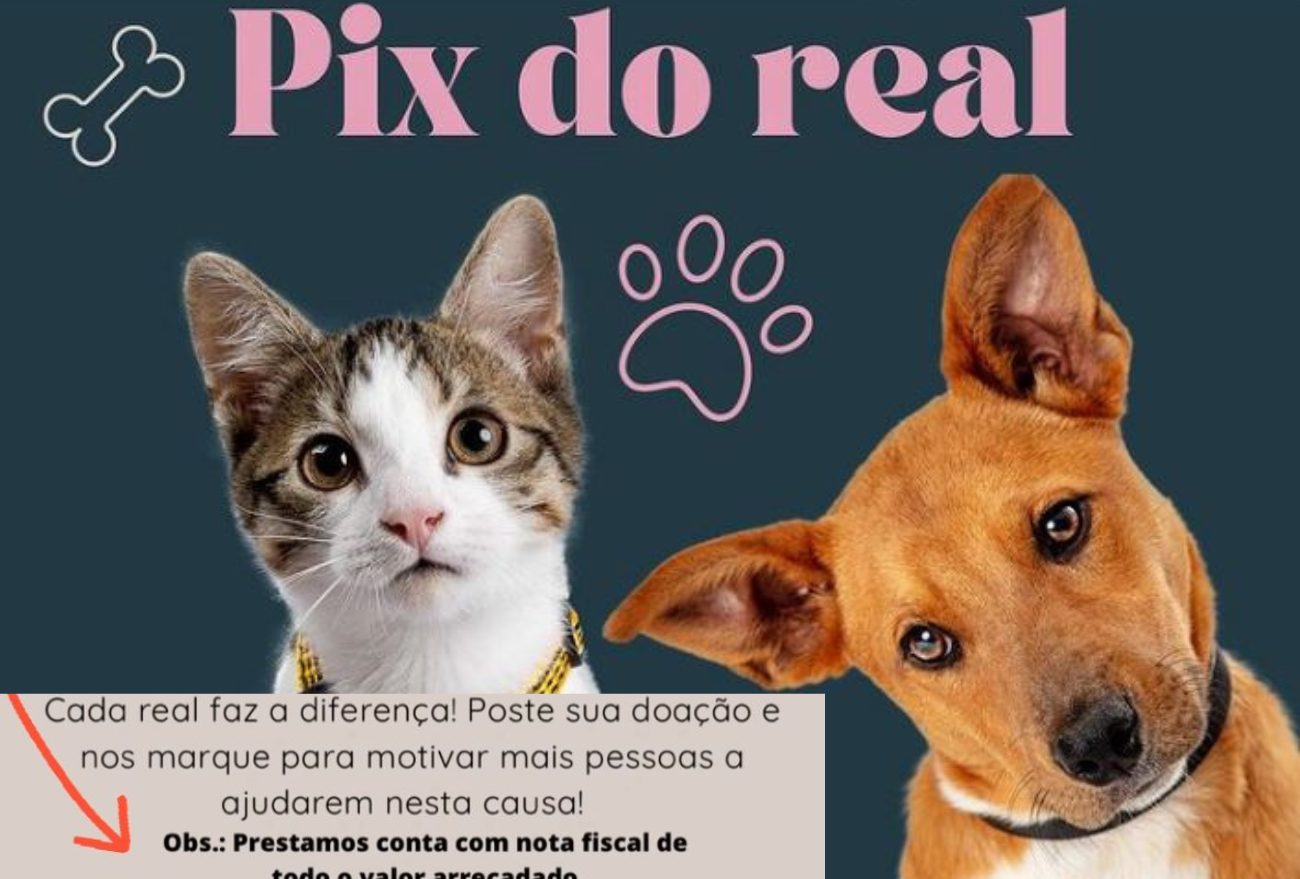 ONG Bem Estar Animal realiza campanha “pix do real”