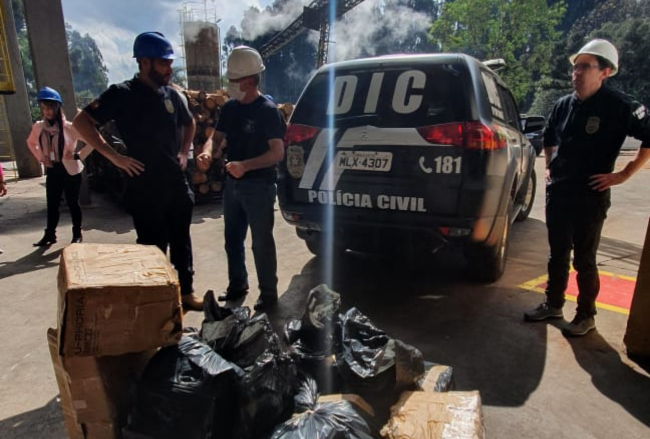 Divisão De Investigação Criminal De Xanxerê incinera mais de 200kg de entorpecentes