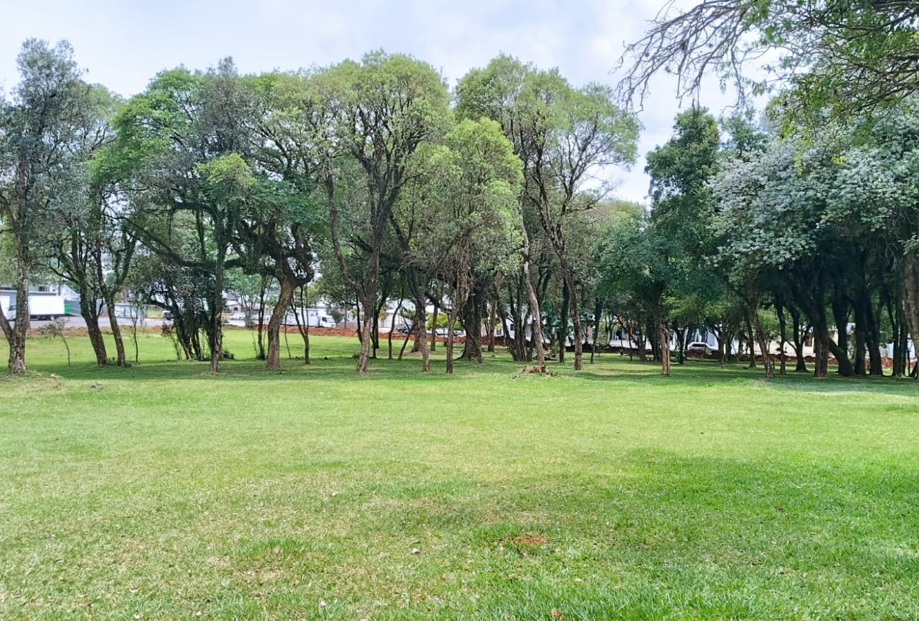 Vídeo: Ecoparque de Xanxerê terá lago, espaço para autistas e muito mais. Veja!