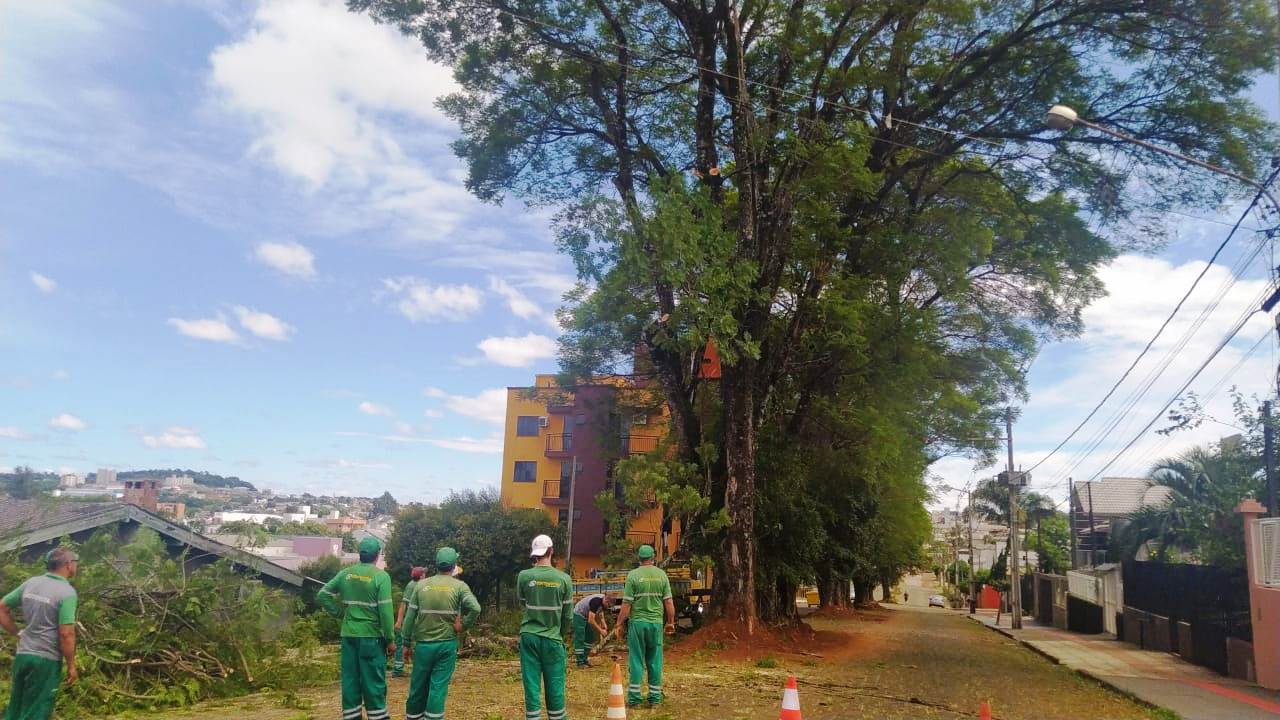 Prefeitura de Xanxerê realiza poda de árvores na Marechal Deodoro