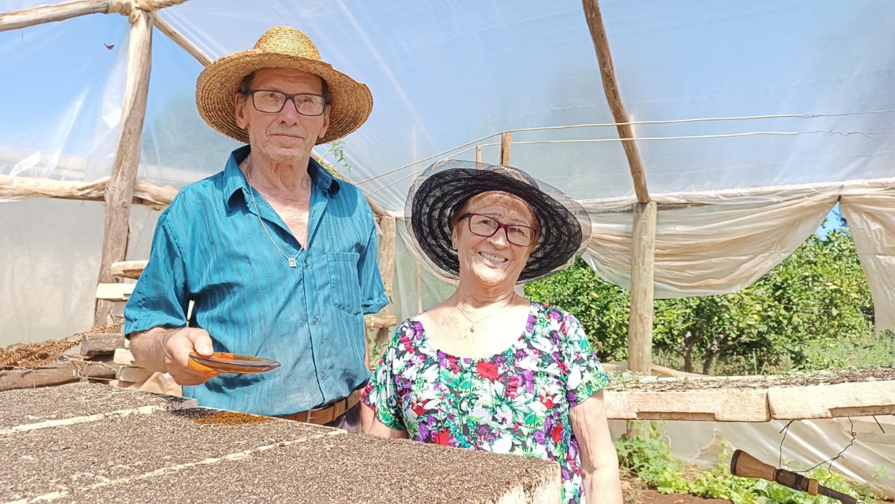 Lance no Campo: Família Zanin se destaca na produção de brócolis para venda e para consumo