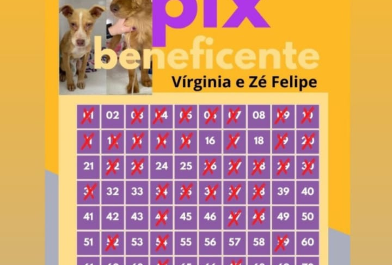 Pix beneficente é realizado em prol dos cães encontrados em sacos plásticos