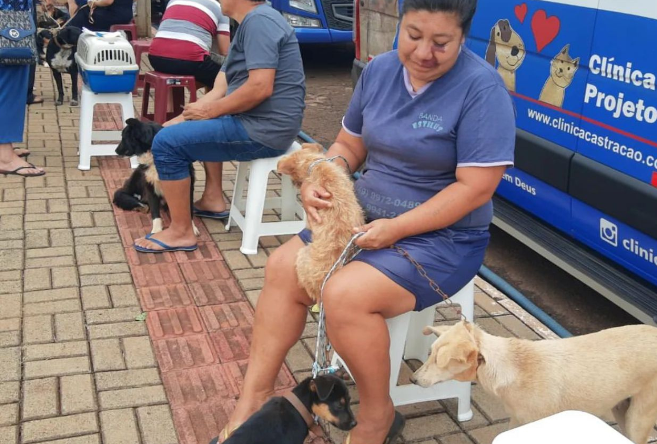 Cerca de 200 cães e gatos são atendidos gratuitamente em Ipuaçu em Projeto Castração