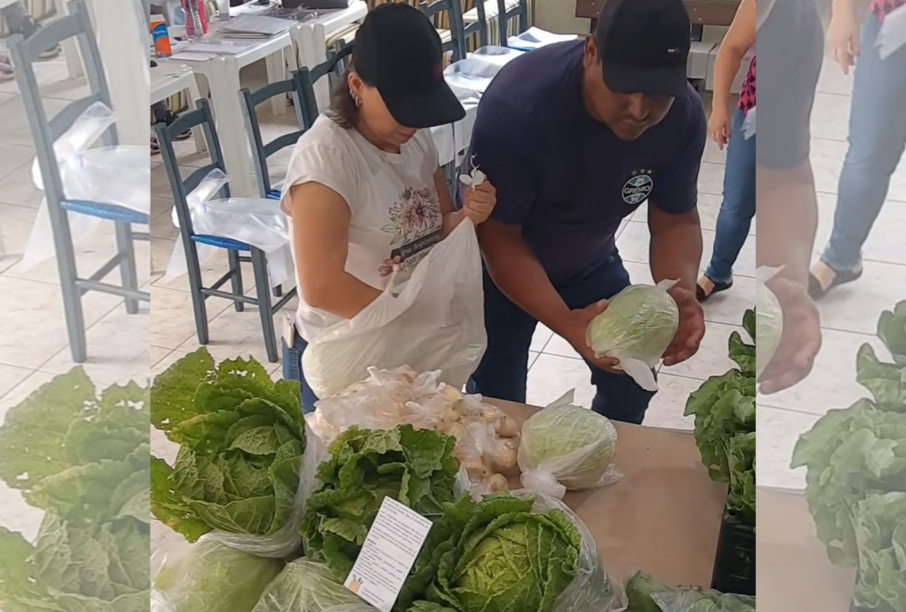 Primeira entrega de cestas de alimentos do Programa Alimenta Brasil é realizado em Ipuaçu