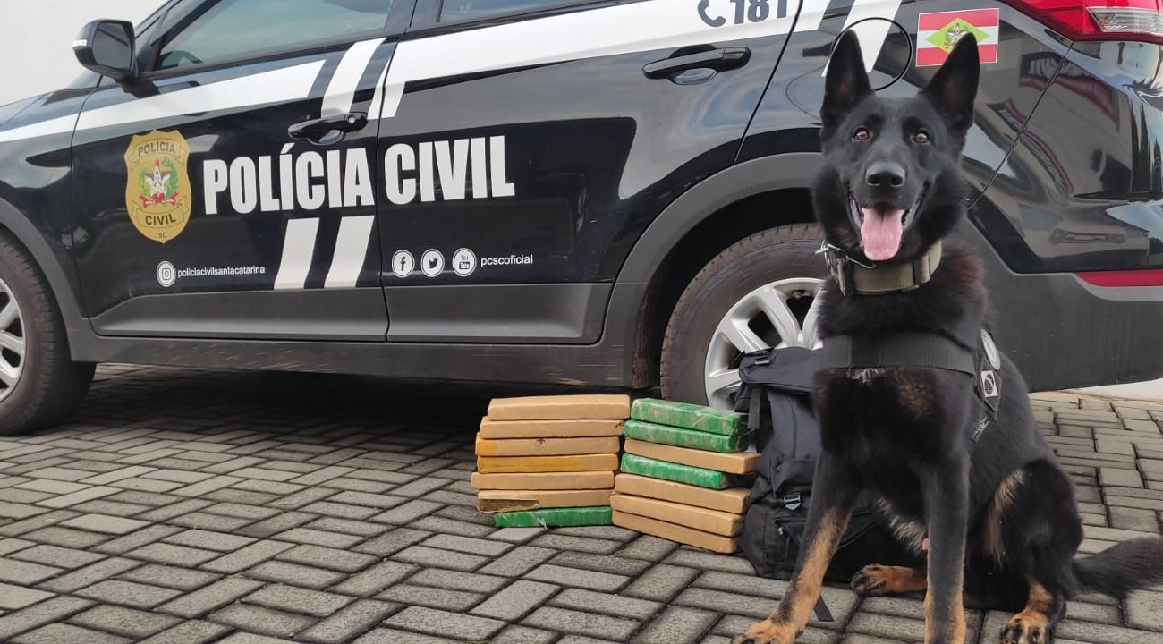 Polícia Civil de Xanxerê apreende mais de 10 kg de drogas e prende jovem traficante