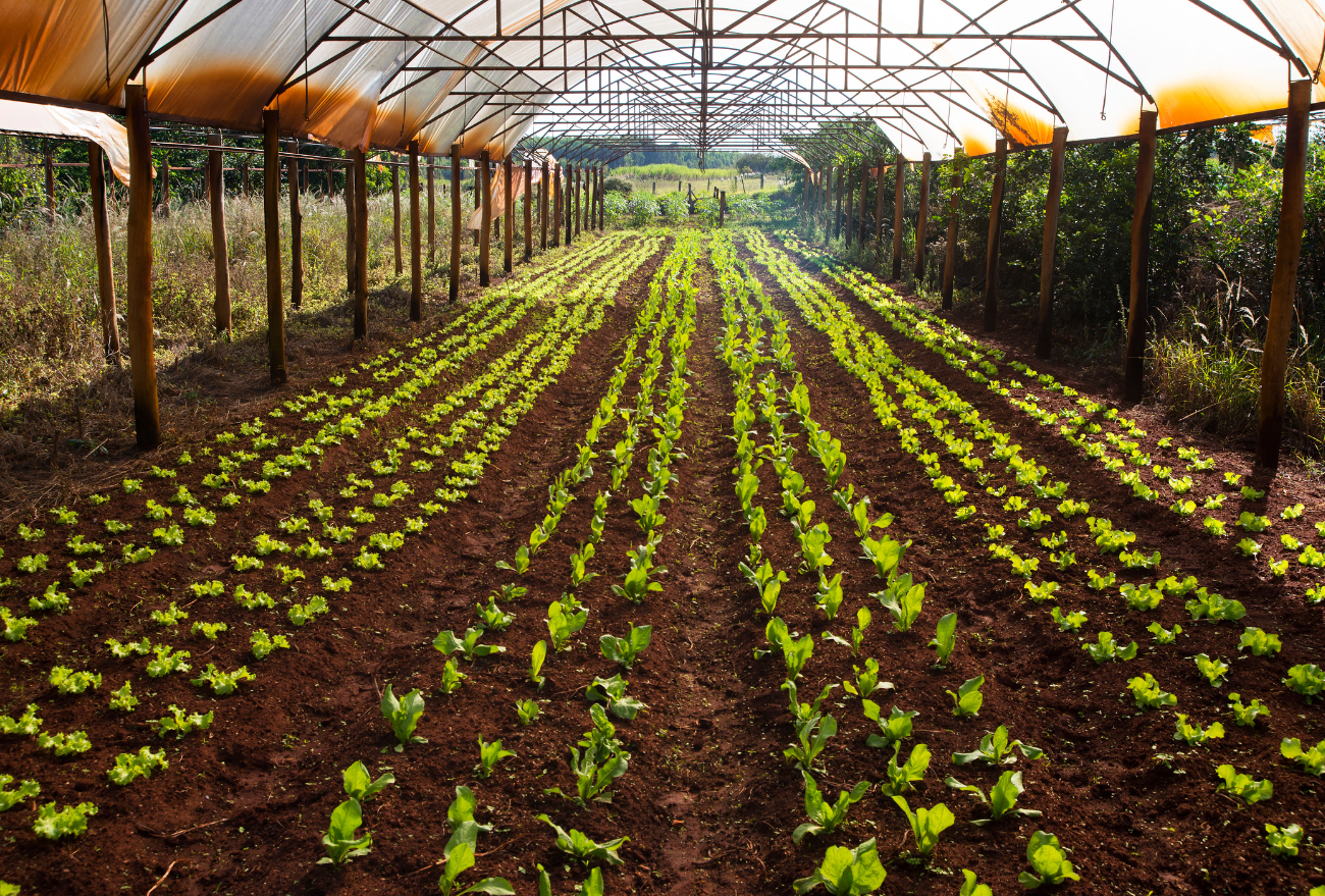 Projeto de Lei quer criar Dia e Semana da Agricultura Familiar, em Xanxerê