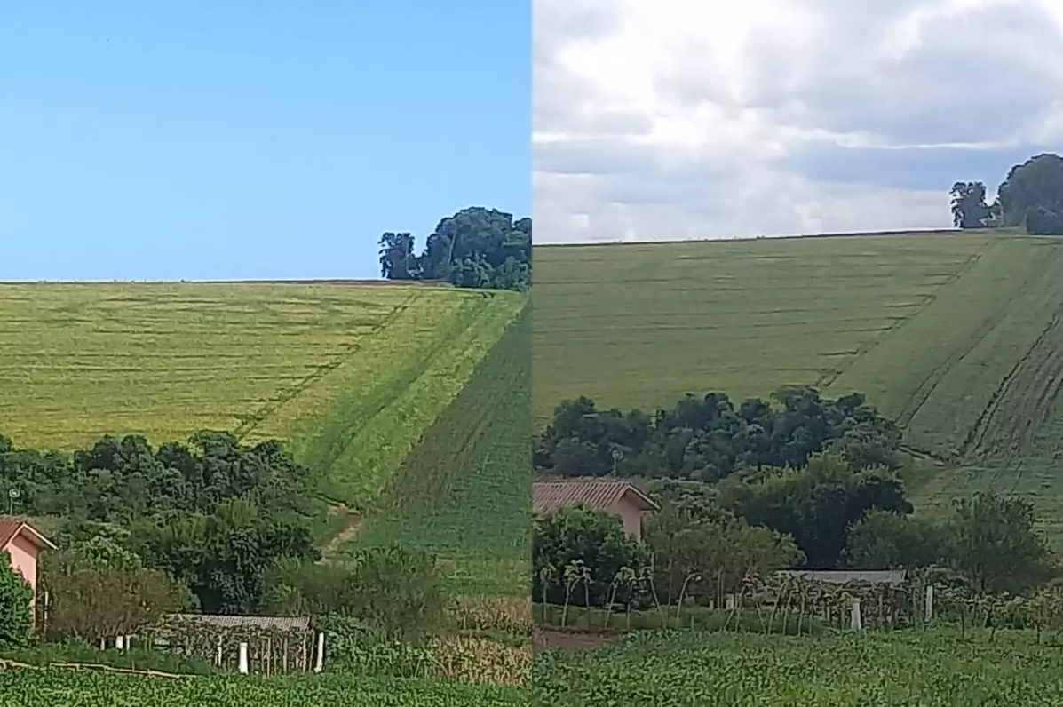 Cinco meses após agroglifo aparecer em Ipuaçu, marca misteriosa persiste