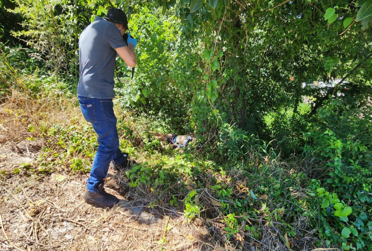 Polícia Civil cumpre mandado de prisão de um adulto e apreensão de um adolescente pela prática de homicídio em Maravilha