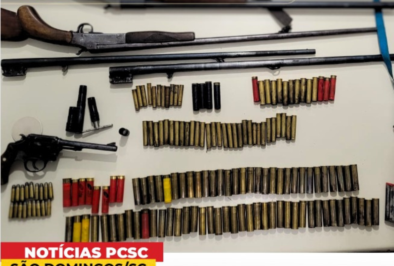 Polícia Civil apreende armas de fogo e munições em São Domingos SC