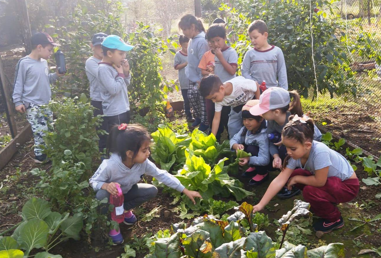 Escolas Nery Giachini e São Caetano realizam passeio em plantações de frutas e verduras