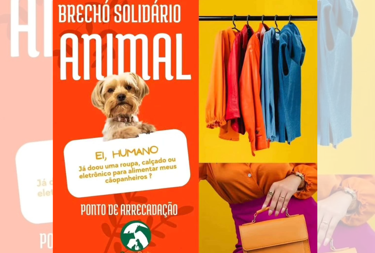 Moradora de Xanxerê realiza arrecadação de roupas e calçados para Brechó Solidário Animal