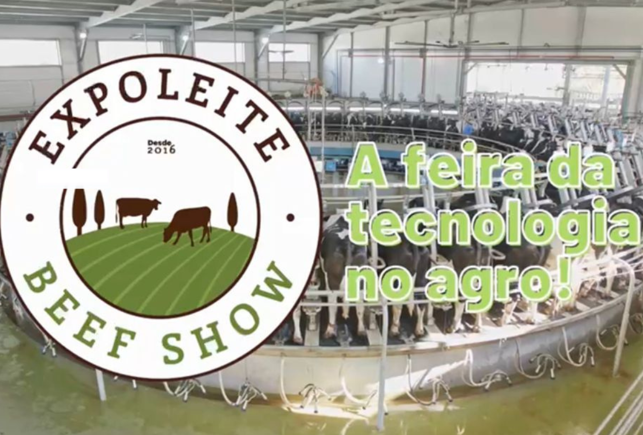 Expo Leite BeefShow volta em sua 2ª edição, a maior feira de bovinos do Oeste de Santa Catarina