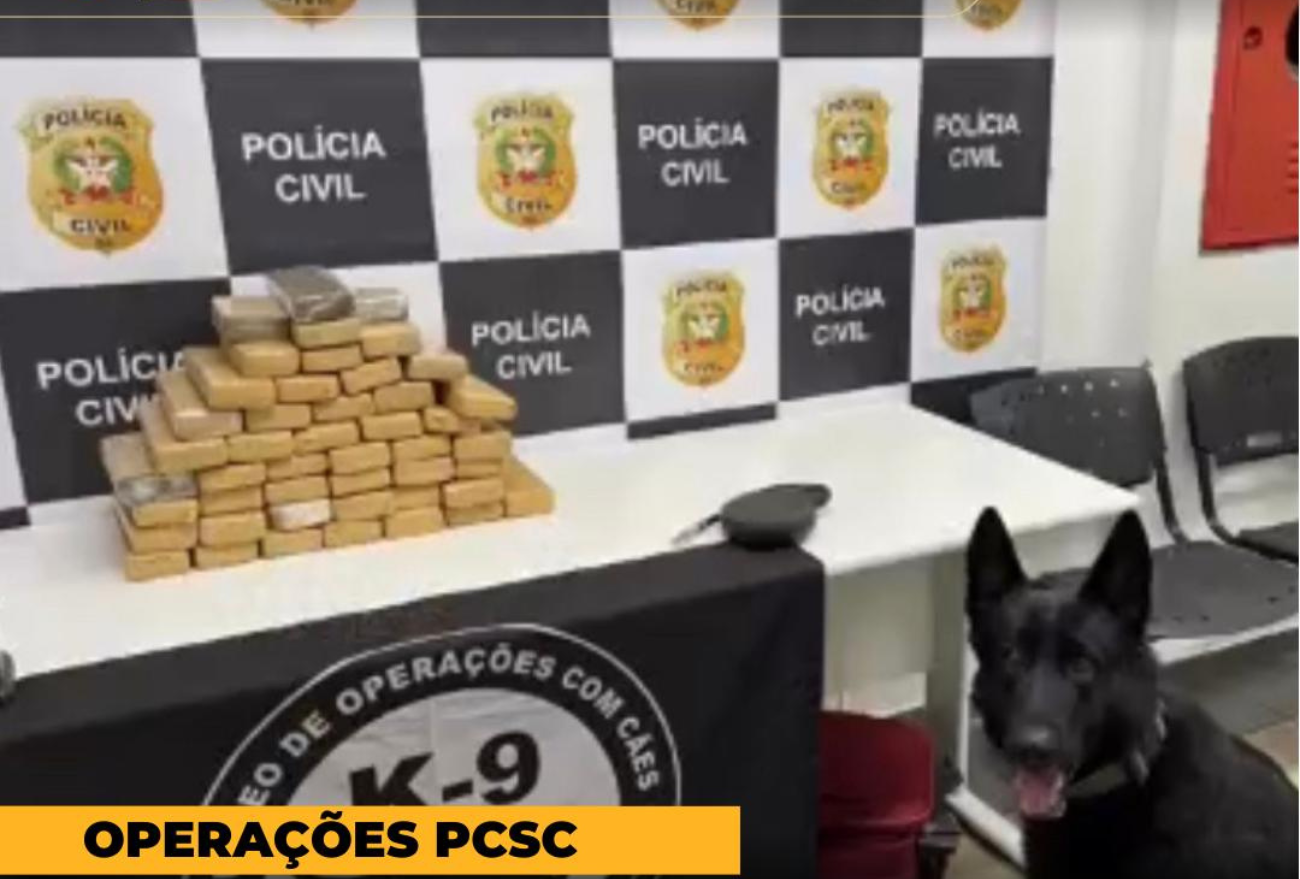 Polícia Civil de Santa Catarina apreende mais de 23kg de maconha durante fiscalização na rodoviária de Xanxerê