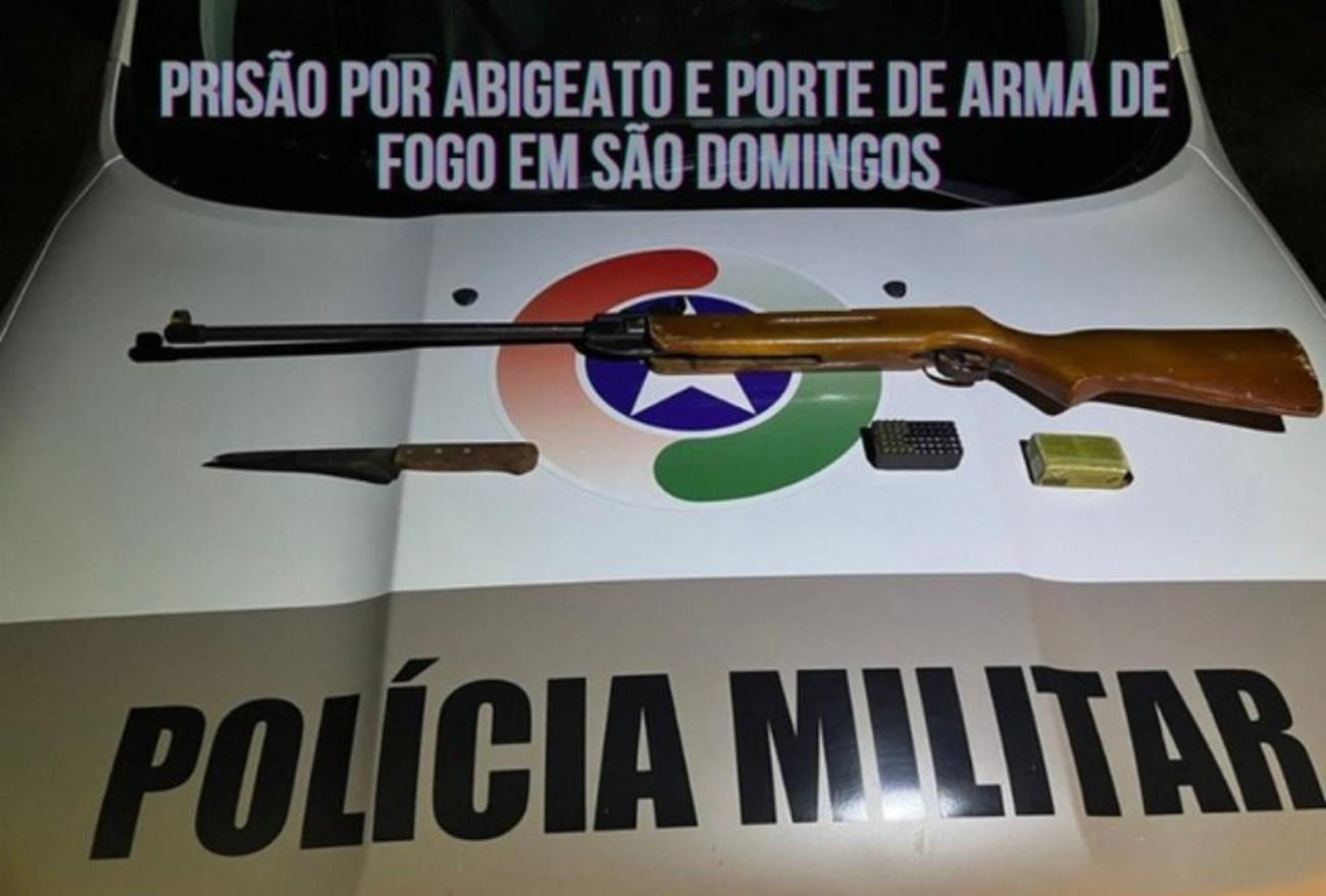 Polícia Militar prende autores de crime de abigeato em São Domingos