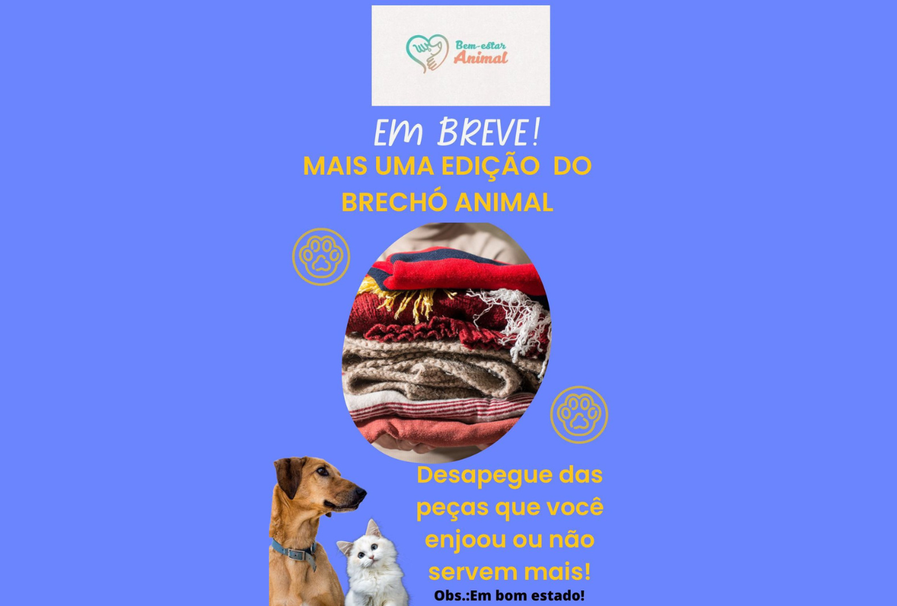 Brechó Animal: Grupo Bem-estar Animal organiza arrecadações de fundos para castrações