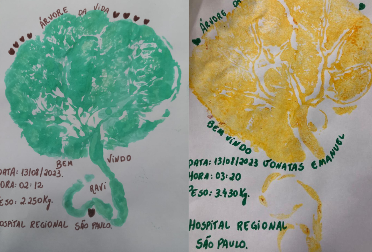 Hospital Regional São Paulo celebra nascimentos com a criação de Árvores da Vida, utilizando a placenta em partos normais