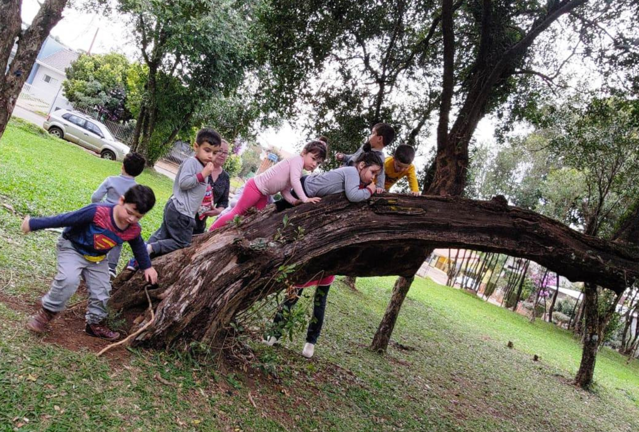 Fotos: interações de contato com a natureza são propostas na Rede Municipal de Ensino de Xanxerê