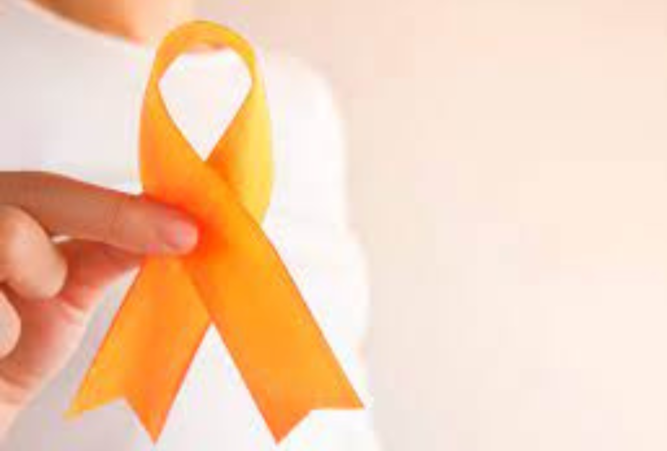 Dia Nacional de Conscientização sobre Esclerose Múltipla: unindo forças contra uma doença desafiadora