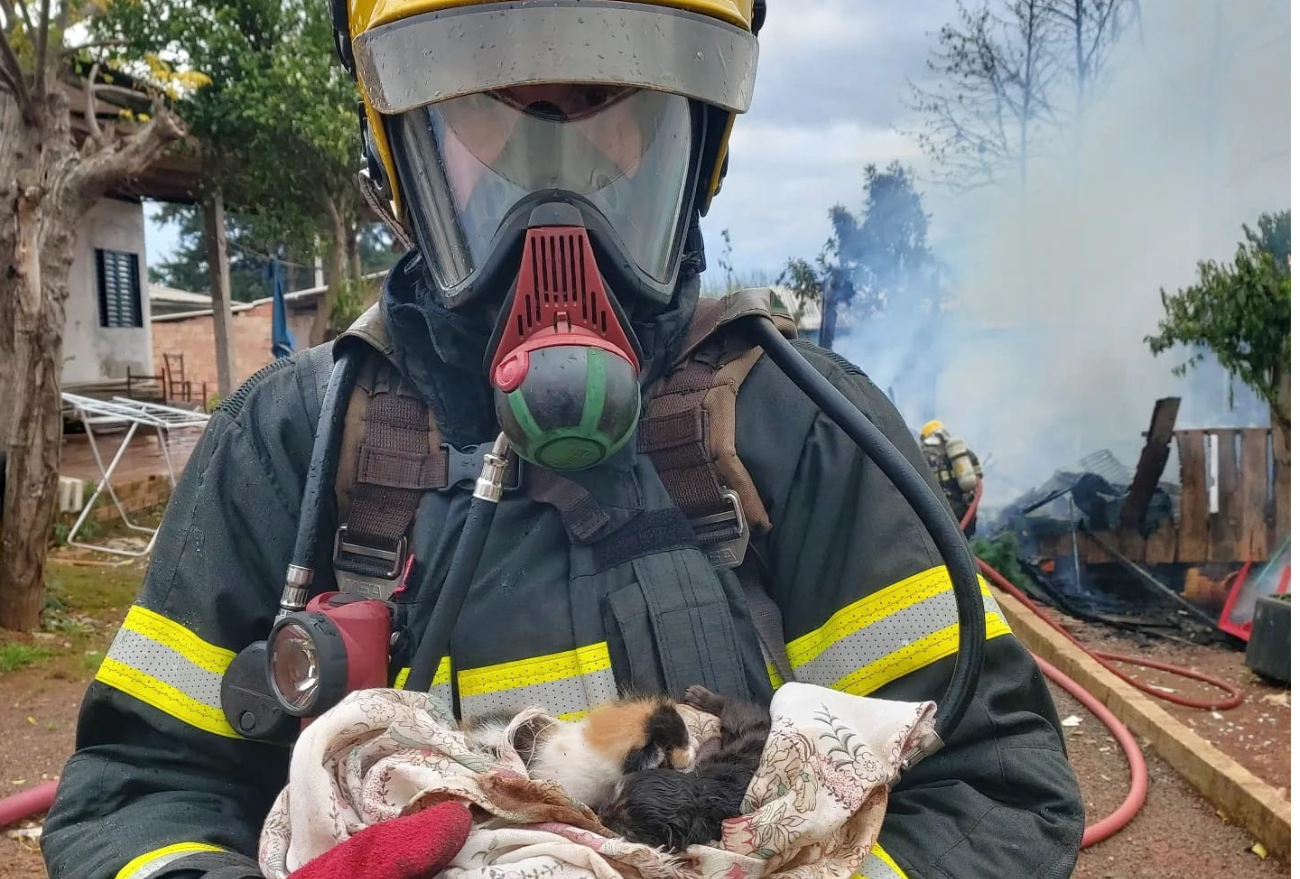 Incêndio destrói residência em Abelardo Luz, mas animais são resgatados ilesos