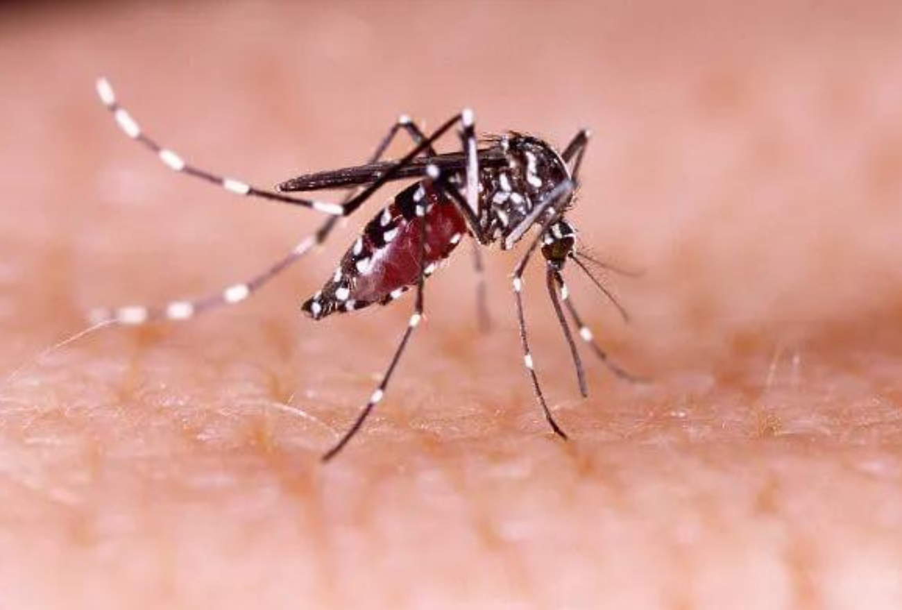 Secretaria de Saúde de Abelardo Luz promove mutirão contra a dengue