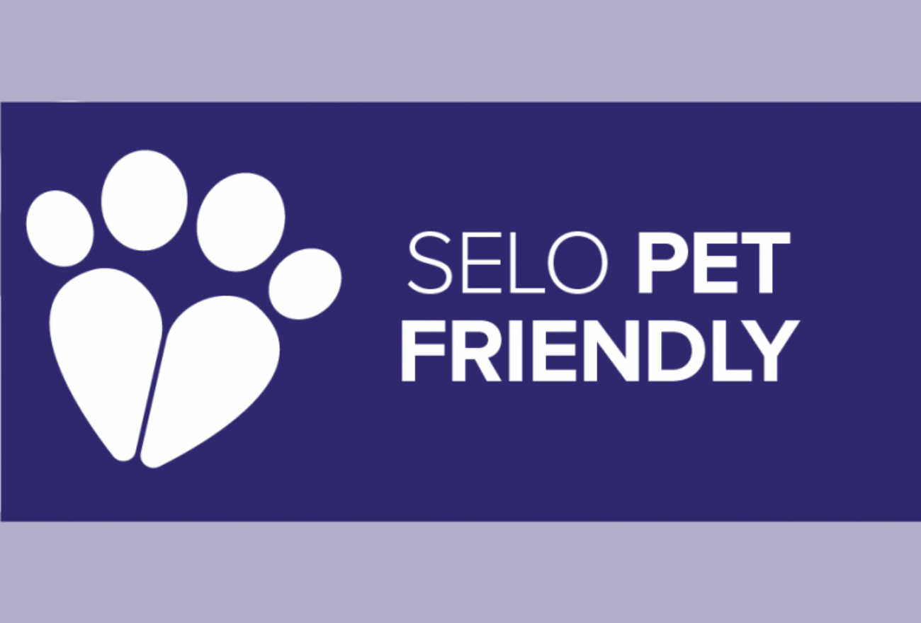 Pet friendly: o conceito amigo entre o comércio, clientes e pets