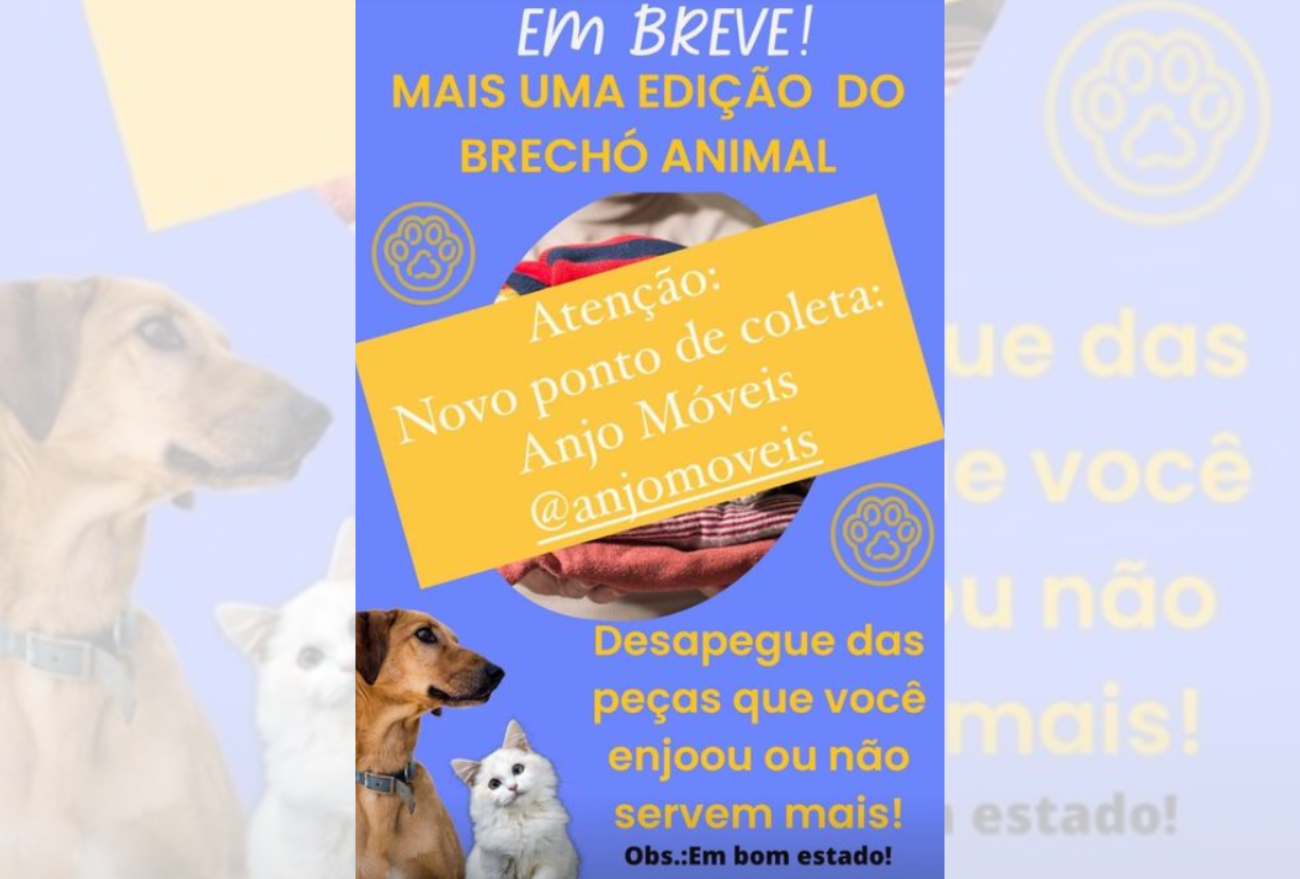 Grupo Bem-estar animal promove mais uma edição do “Brechó animal”