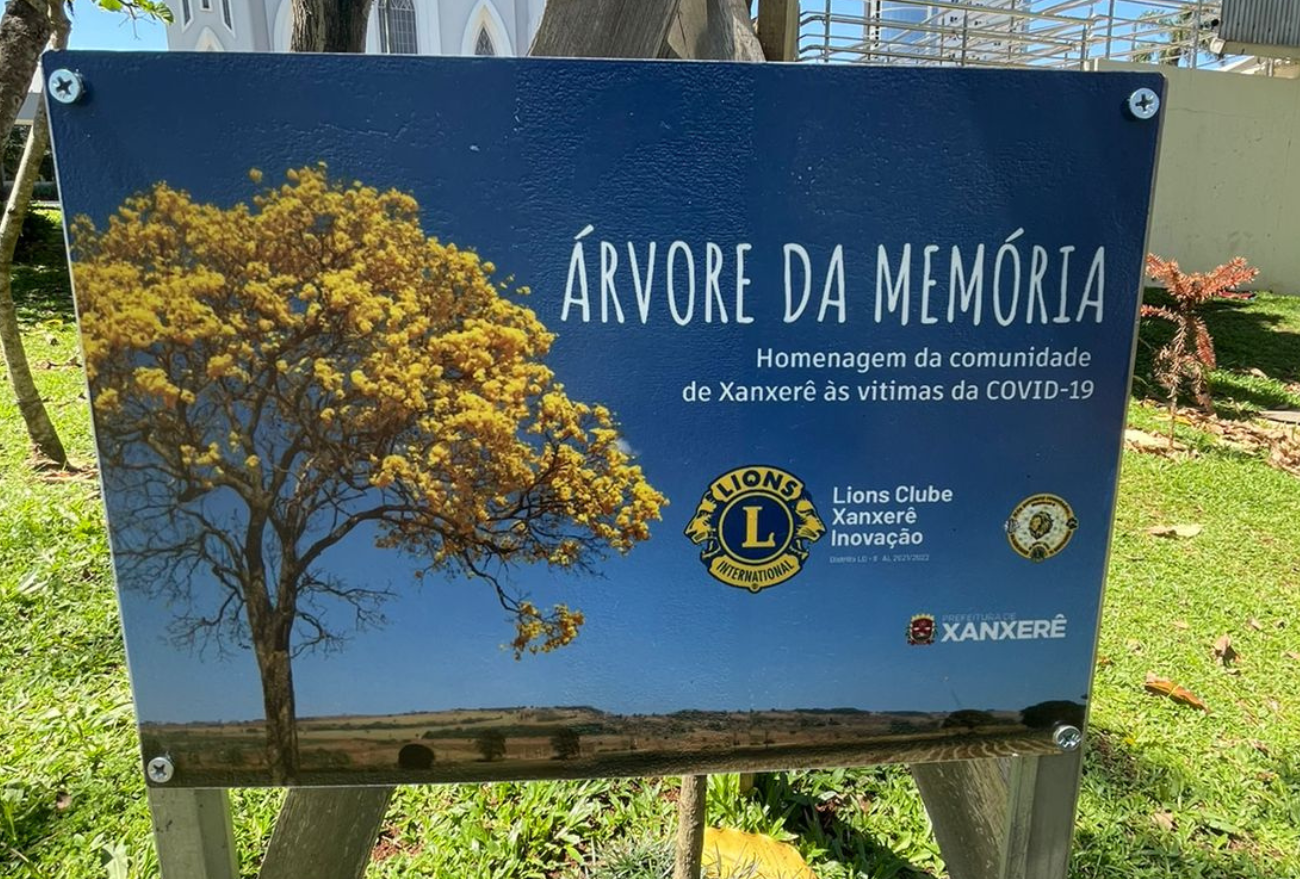 “Árvore da Memória”: um símbolo de esperança plantado em meio à pandemia