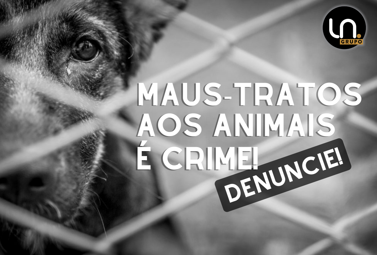 Maus-tratos aos animais é crime! Site da Prefeitura de Xanxerê disponibiliza instrumento para denúncias