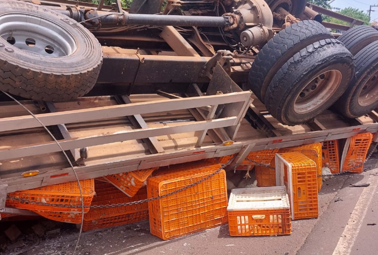 Acidente com caminhão de carga viva é registrado na manhã desta segunda-feira (23), em São Domingos