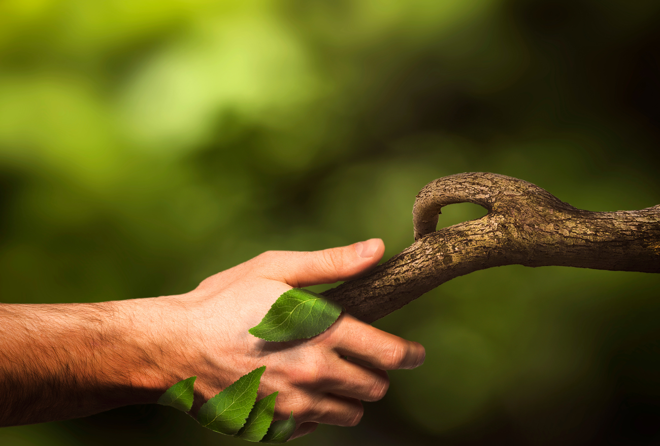 Dia da Natureza: celebrando a diversidade e promovendo a consciência ambiental